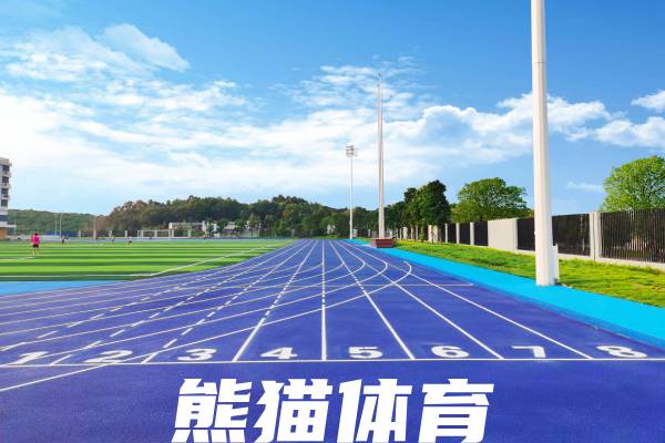 🥇 - 提供AI数字体育解决方案